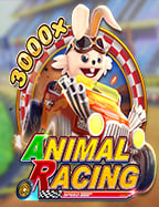 วิธีเล่นเกม snake arena สำหรับผู้เริ่มต้น